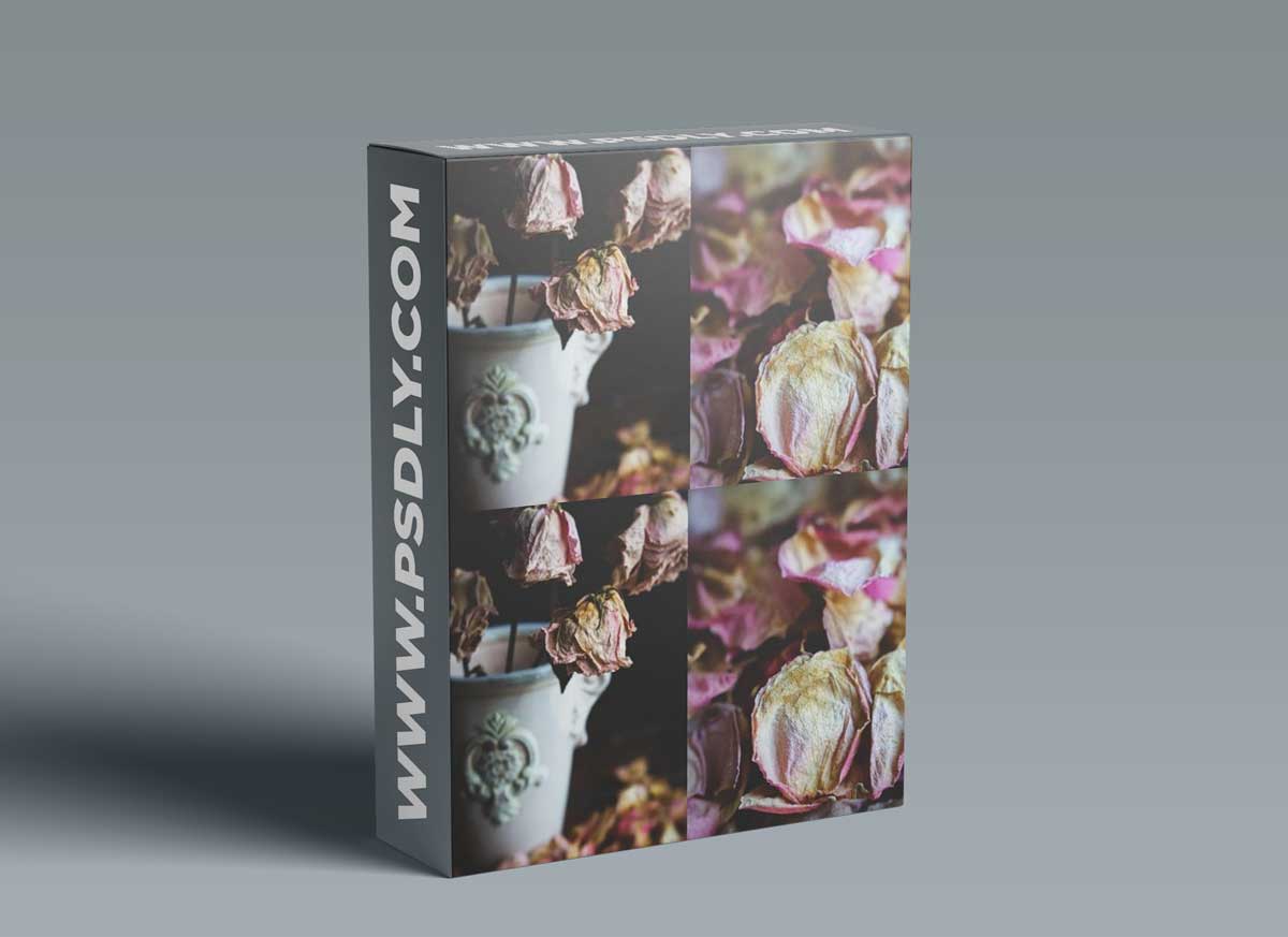 Still Life Photography: Creating A Dark & Moody Flower Setup