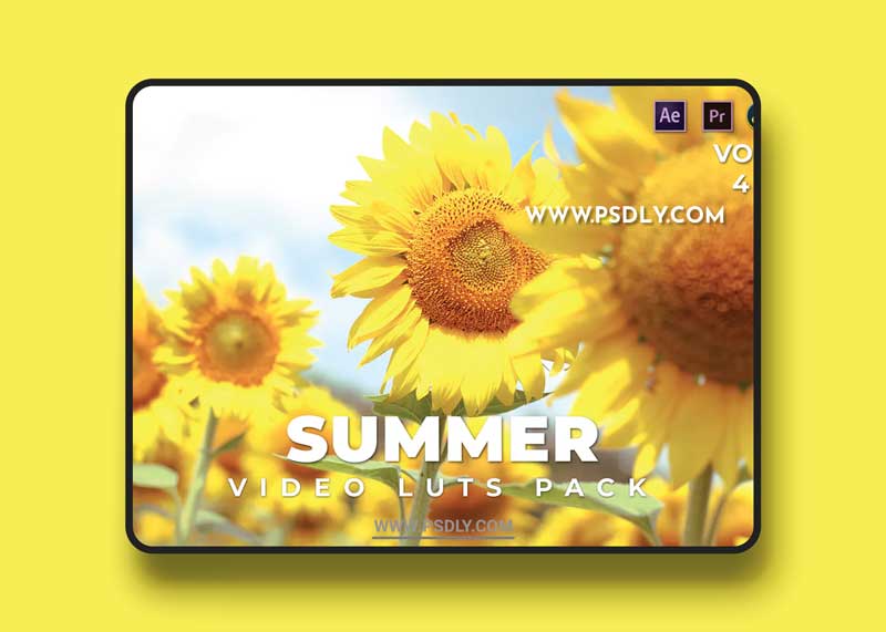 Summer Pack Video LUTs Vol.4