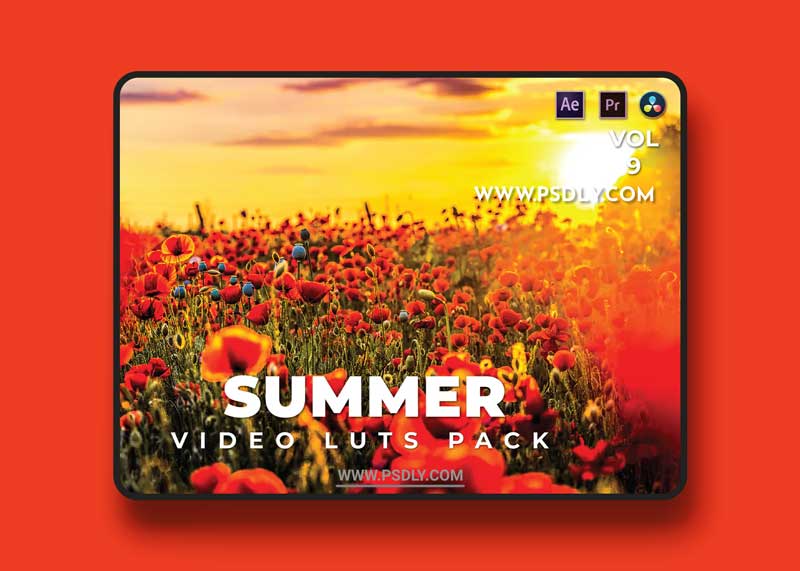 Summer Pack Video LUTs Vol.9