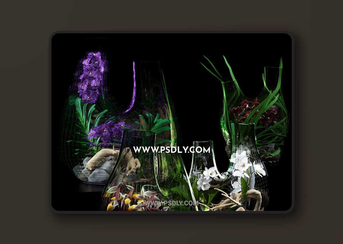 Terrarium vases with Orchids