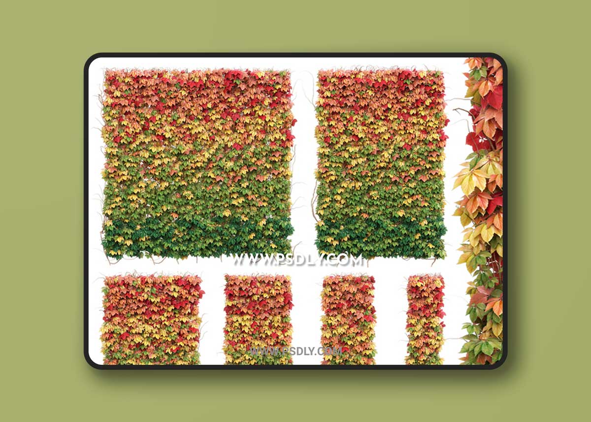 Wall from autumn leaves. Set of 6 models