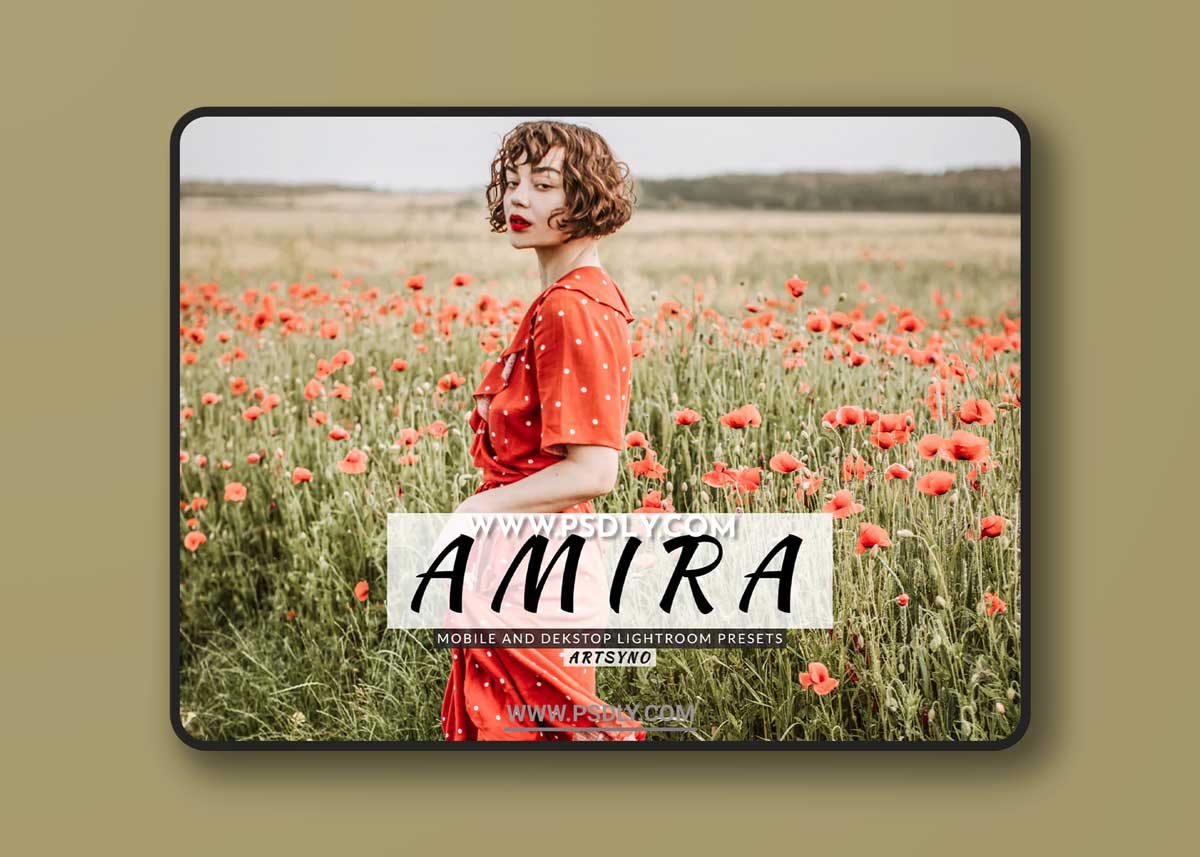 Amira Lightroom Presets Dekstop and Mobile