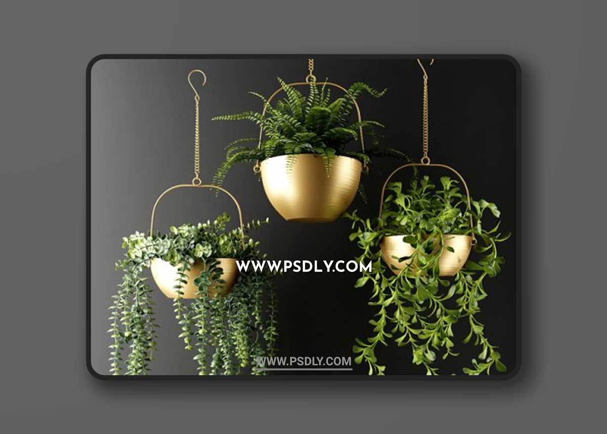 Ampel Plants in Bronze Flower Pots 3D Models