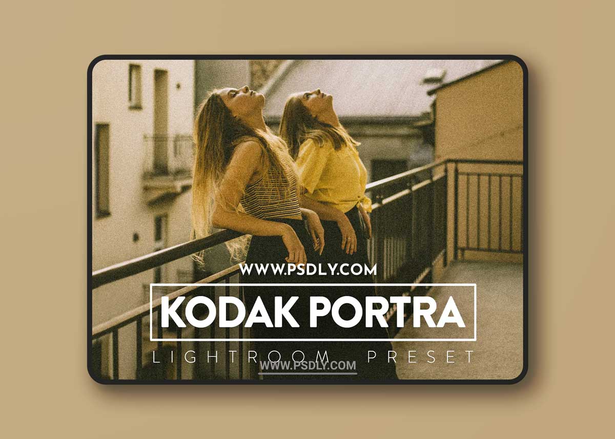 Analog Retro Mood Kodak Portra 400 Presets