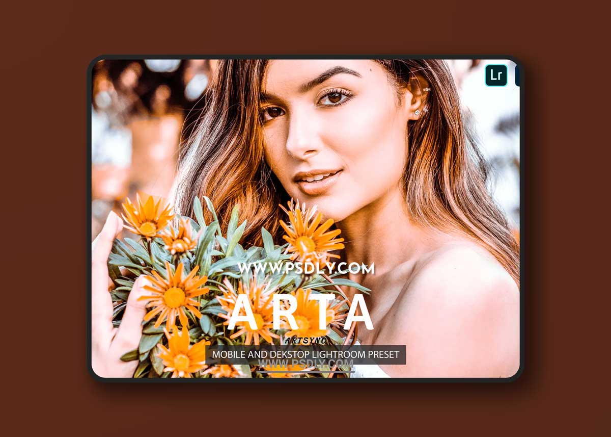 Arta Lightroom Presets Dekstop and Mobile