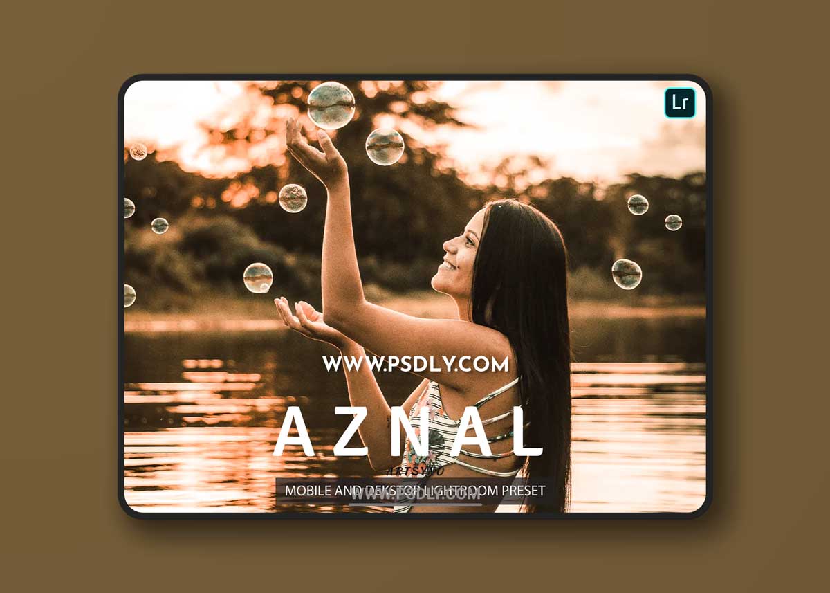 Aznal Lightroom Presets Dekstop and Mobile