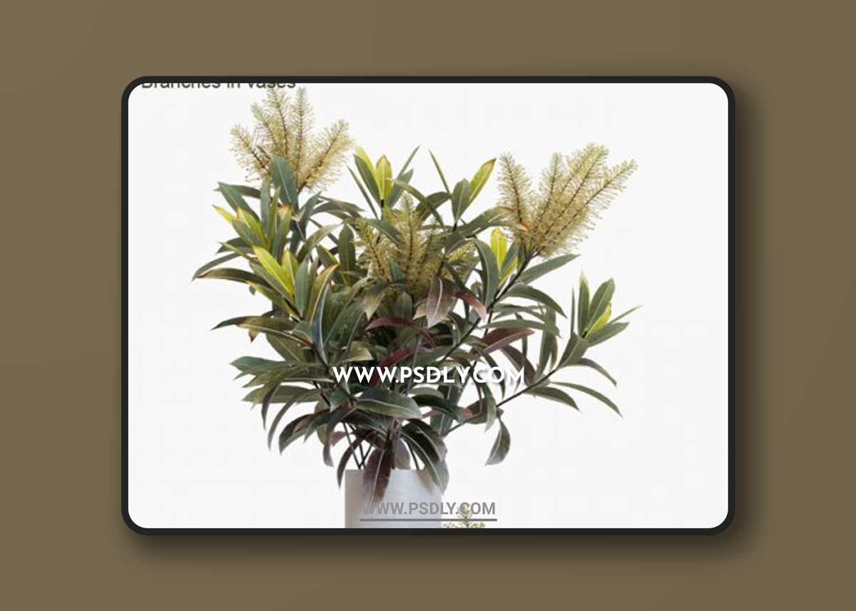 Branches in Vases 12 3D Models