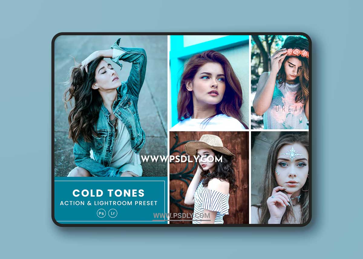 Cold Tones Action & Lightrom Presets