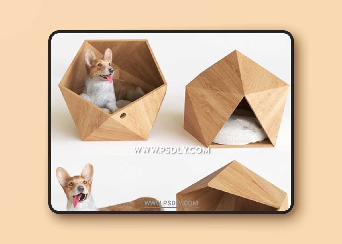 Corgi 3D Models