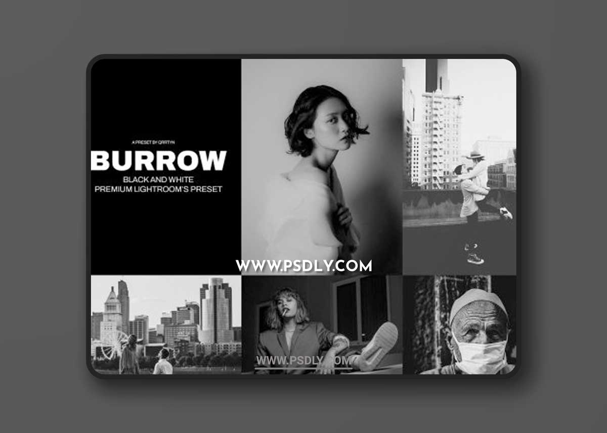 CreativeMarket - Burrow Lightroom's Presets 6468540