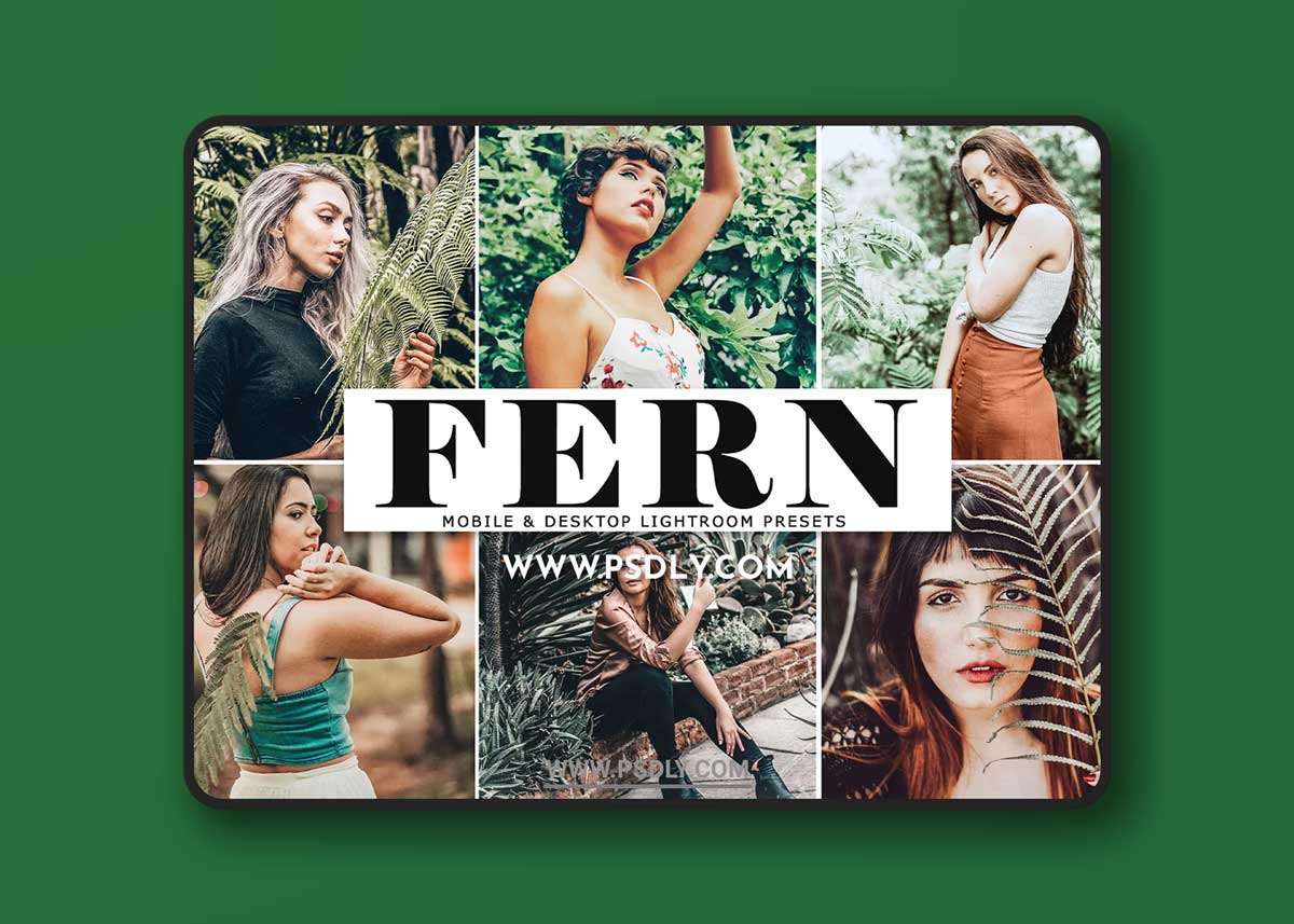 CreativeMarket - Fern Lightroom Presets Pack 4140047