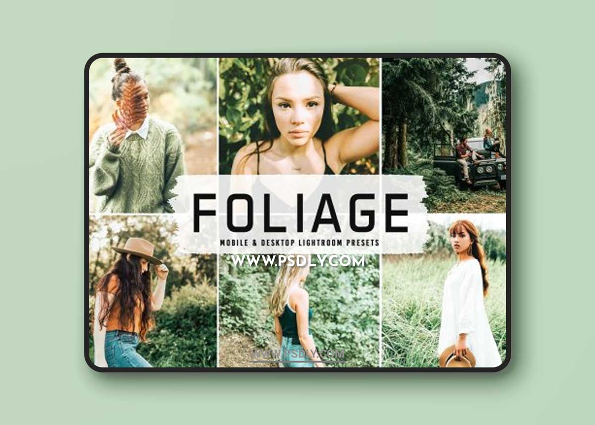 CreativeMarket - Foliage Pro Lightroom Presets 6481486