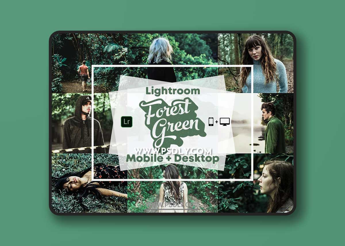 CreativeMarket - Forest Green - Lightroom Presets 3418246