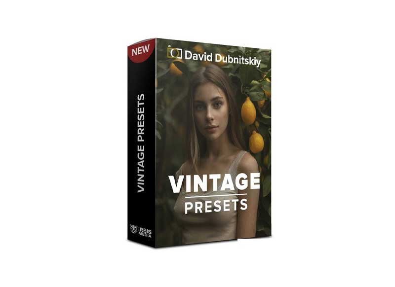 David Dubnitskiy - Vintage Presets
