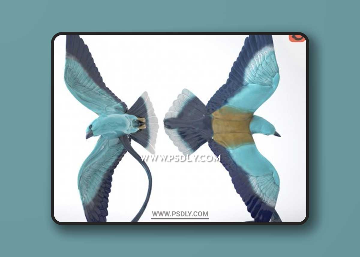 Figurine "Sizovoronok" Sculpture 3D Models