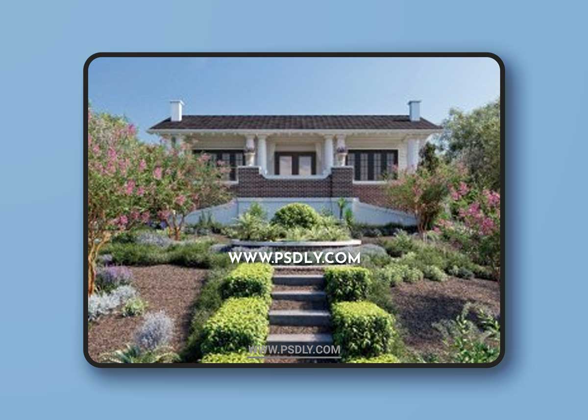 Globe Plants - Bundle 12 - Australian Home & Garden Plants