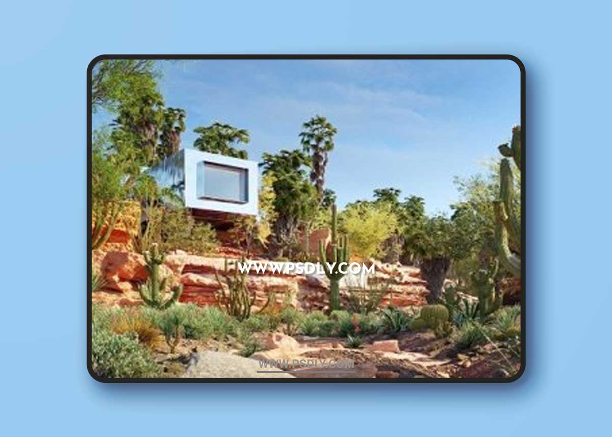 Globe Plants – Bundle 34 Mexican Plants