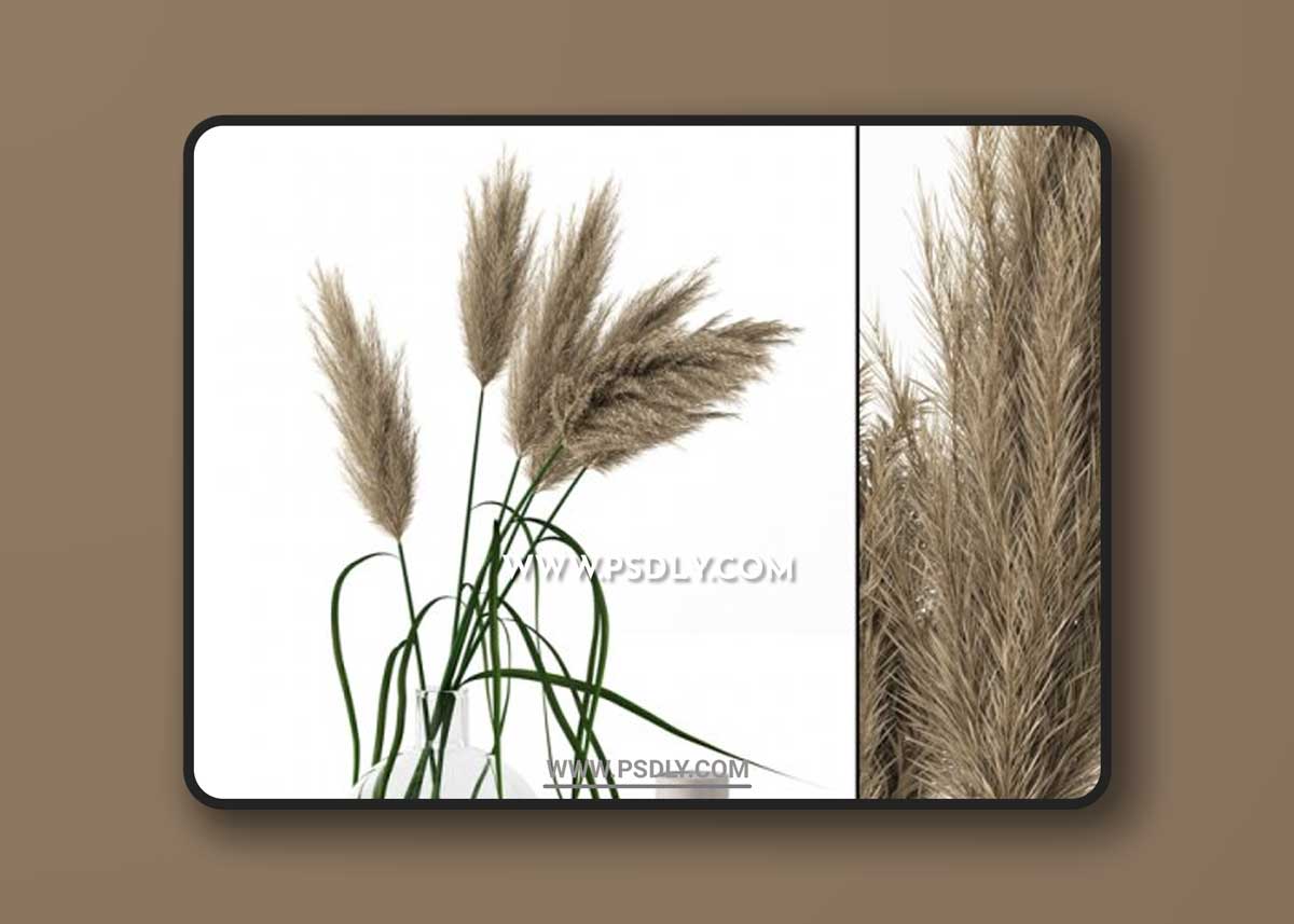 Grass in Round Vase 3D Models
