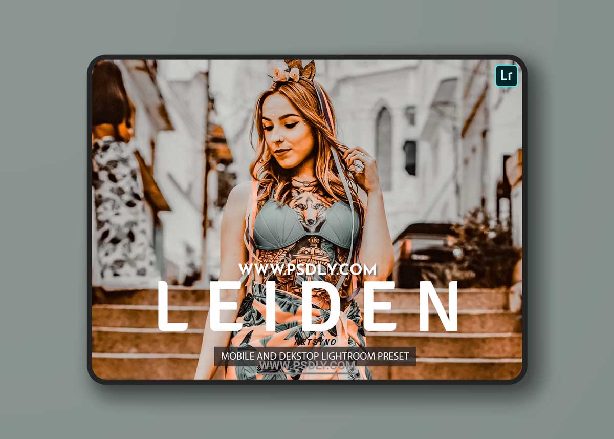Leiden Lightroom Presets Dekstop and Mobile