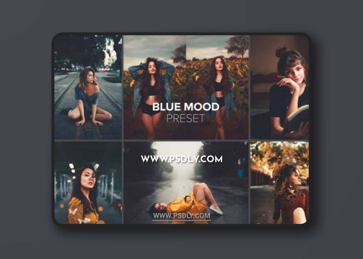 Luizclas - Blue Mood Presets + RAW files/Tutorial