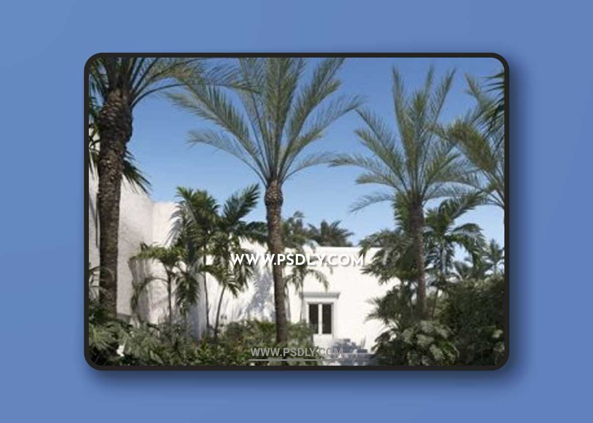 Maxtree – Plant Models Vol. 71 3D Models