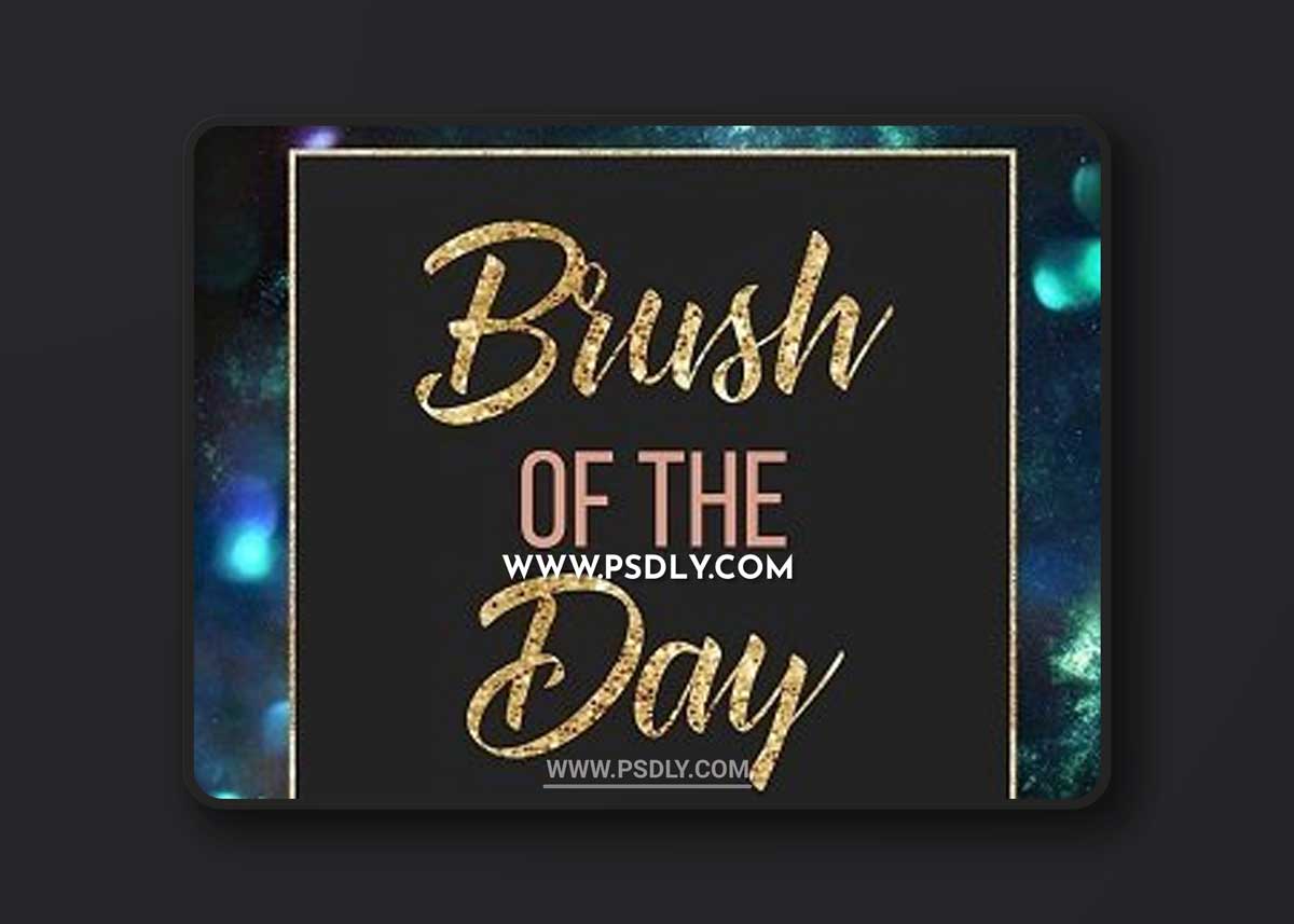 Meg Bitton Live — Brush of the Day