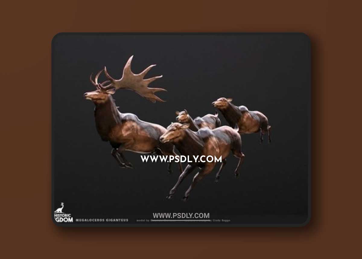 Megaloceros giganteus 3D model