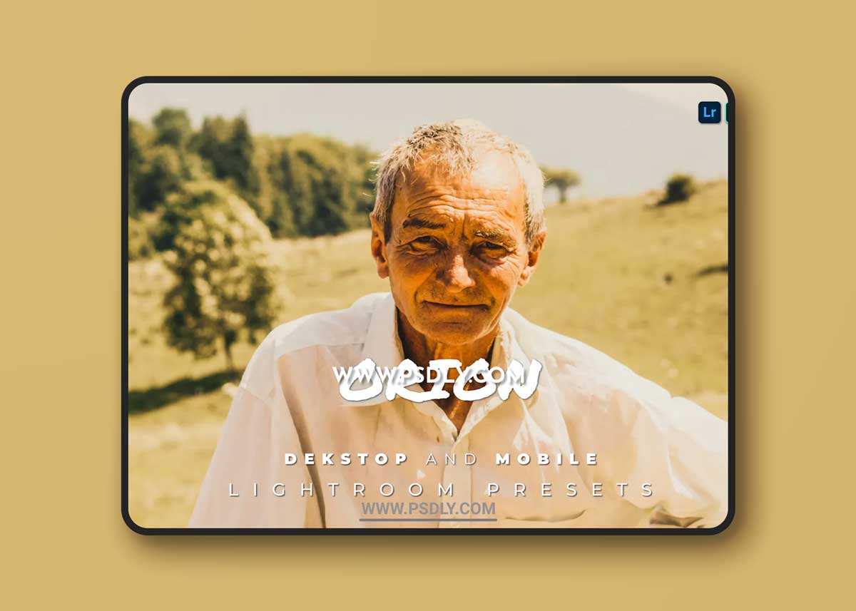Orion Desktop and Mobile Lightroom Preset