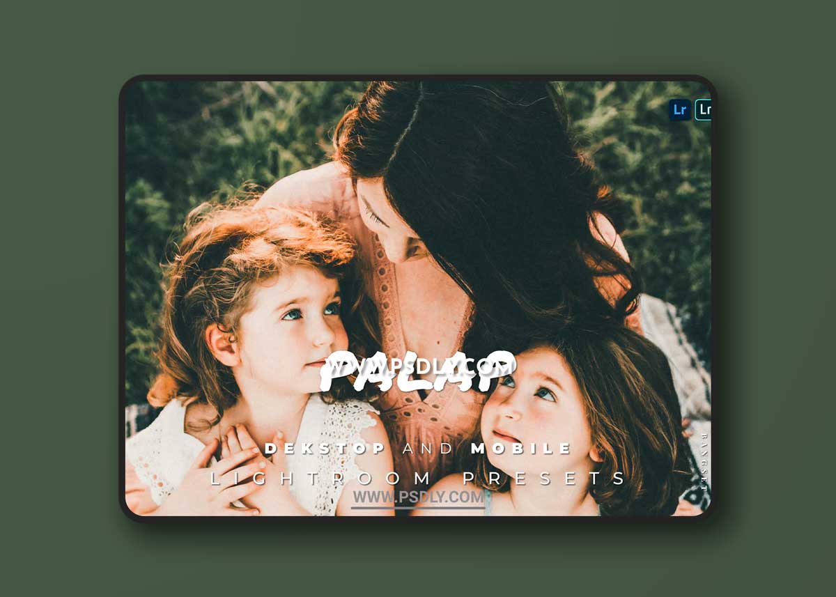 Palap Desktop and Mobile Lightroom Preset