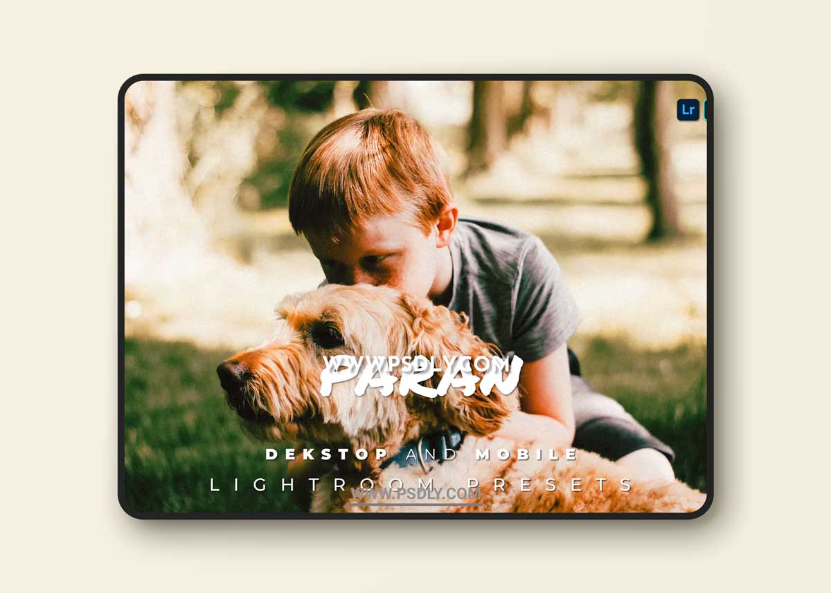 Paran Desktop and Mobile Lightroom Preset