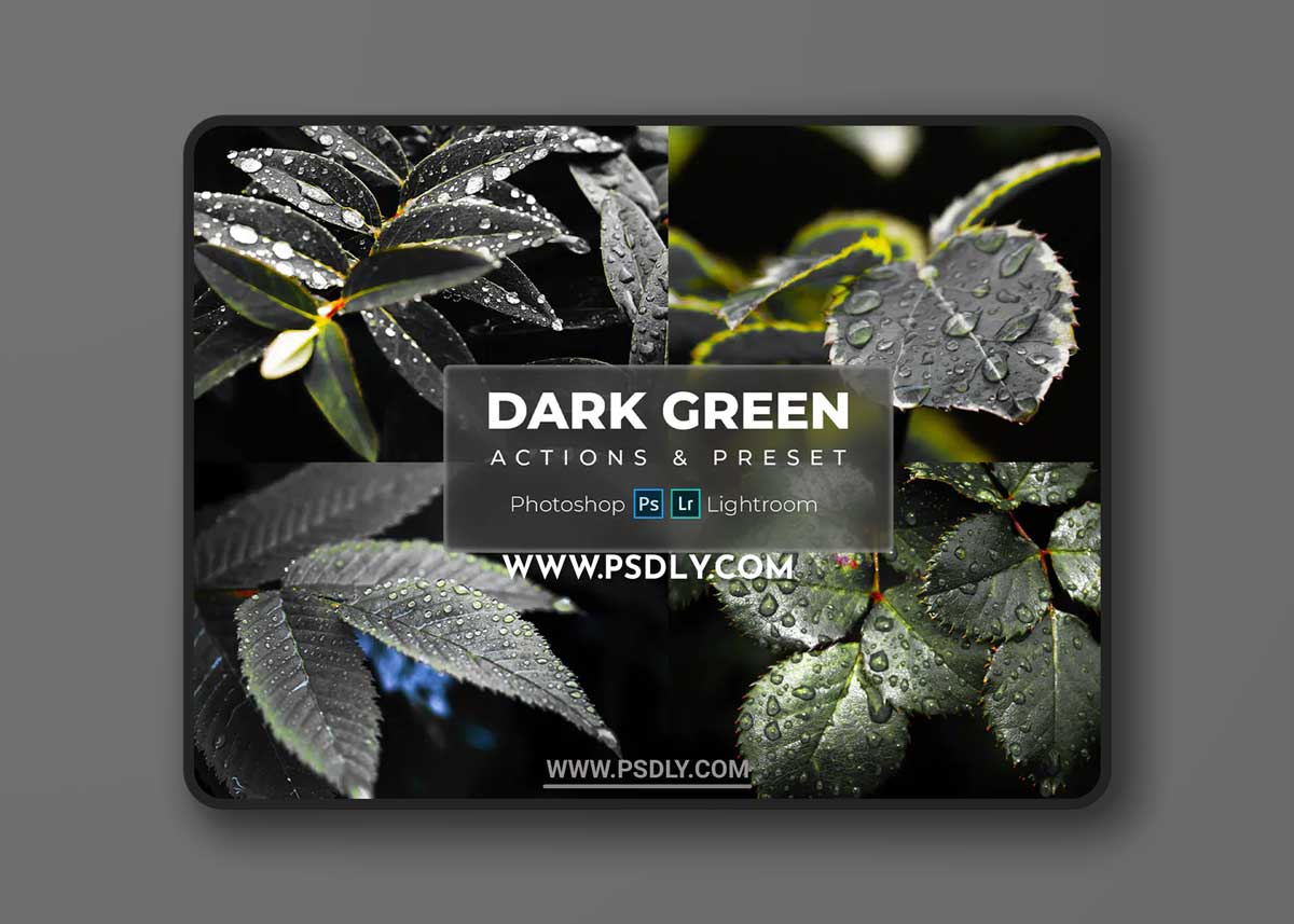 Phtoshop Actions & Lightroom Presets - Dark Green