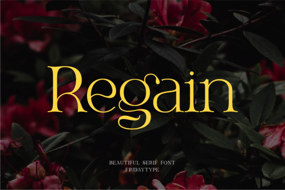 Regain Font