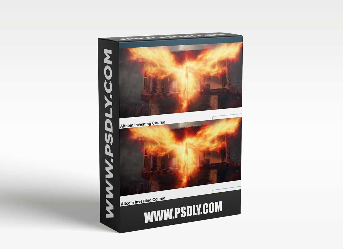 Rekt Capital - Alt Coin Investing Course