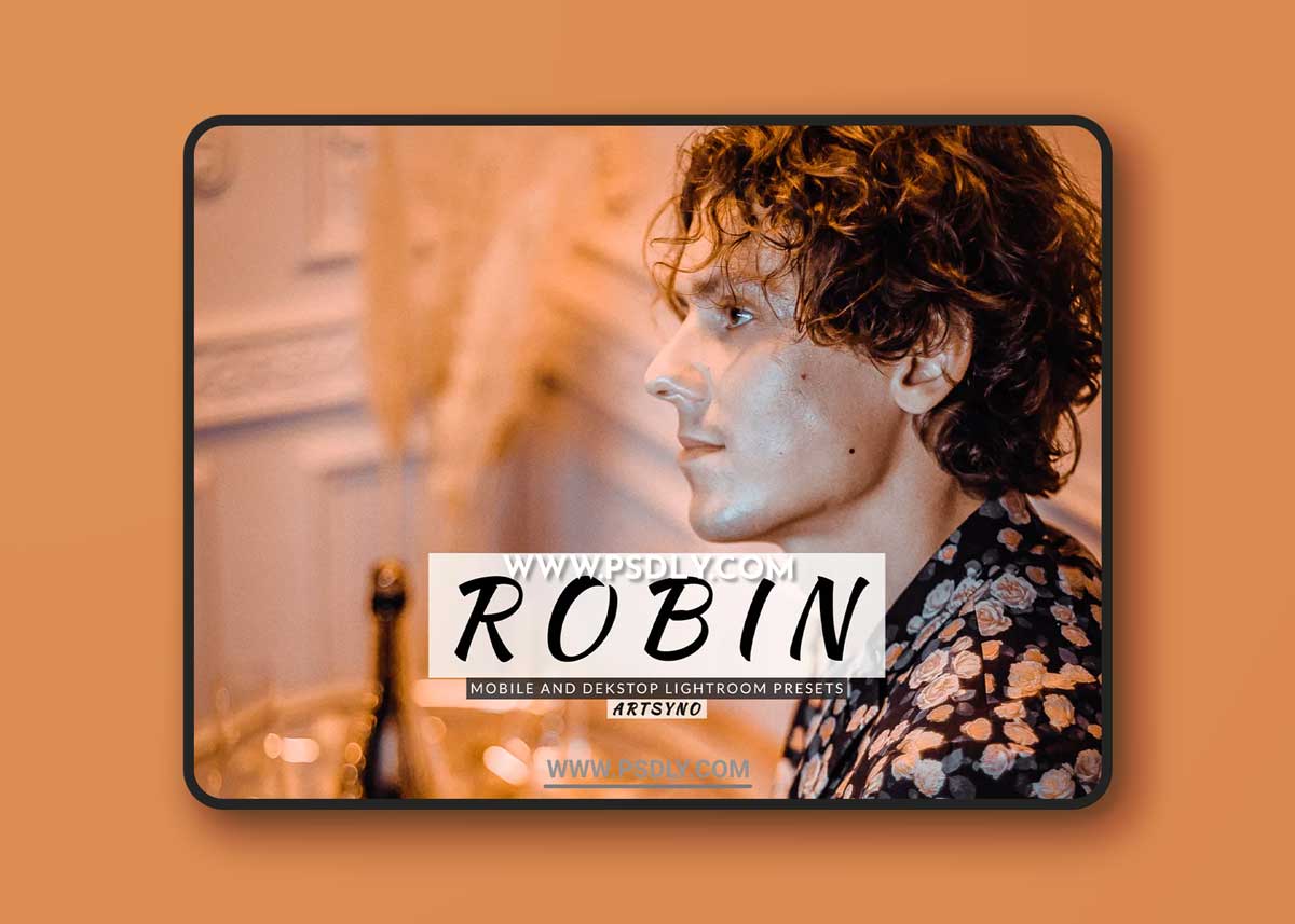 Robin Lightroom Presets Dekstop and Mobile