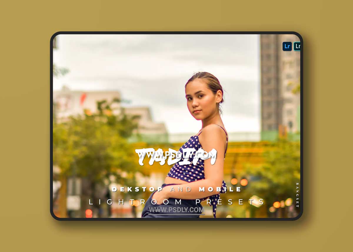 Tadim Desktop and Mobile Lightroom Preset