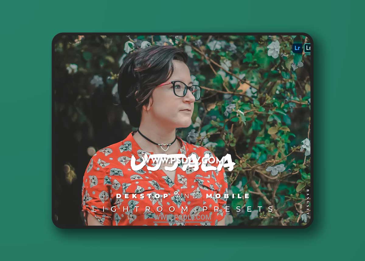 Ujjala Desktop and Mobile Lightroom Preset