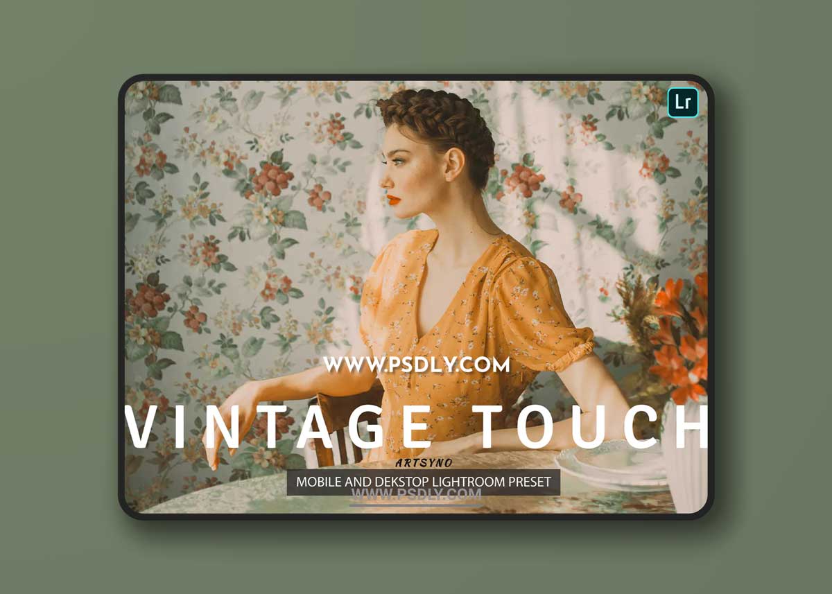 Vintage Touch Lightroom Presets Dekstop and Mobile