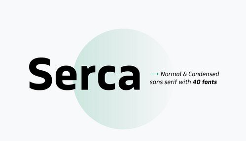 Serca Font Family Font