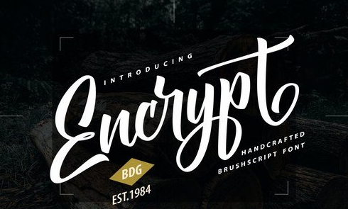 Encrypt Handcrafted Brush Script Font