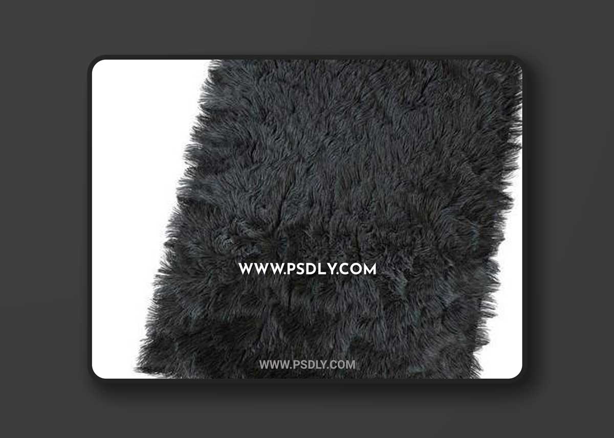 Carpet with long pile 3d Model