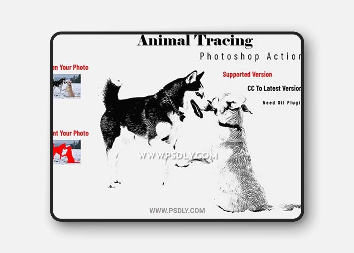 CreativeMarket - Animal Tracing Photoshop Action 6647974