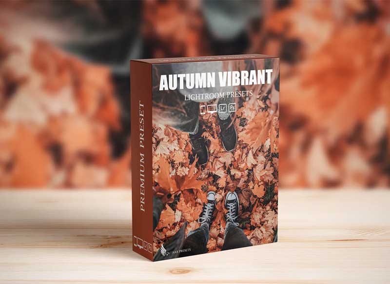 CreativeMarket - Autumn Vibrant Lightroom Presets 6520810