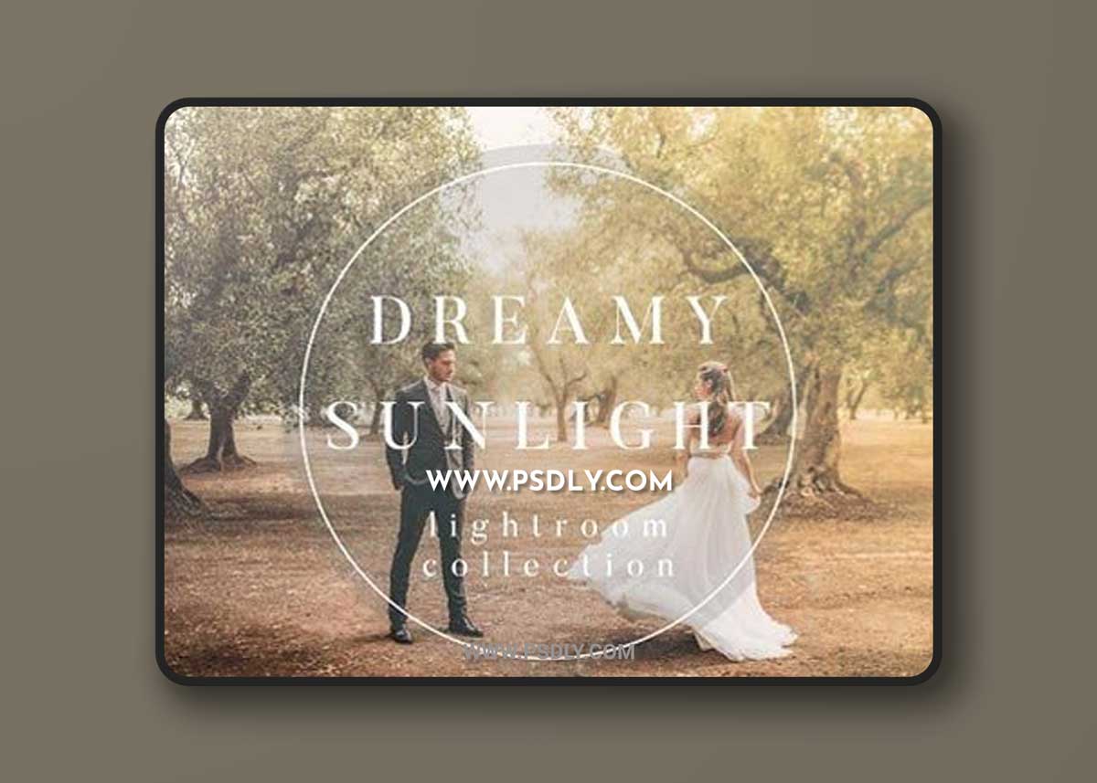 Dreamy Sunlight Collection for LR