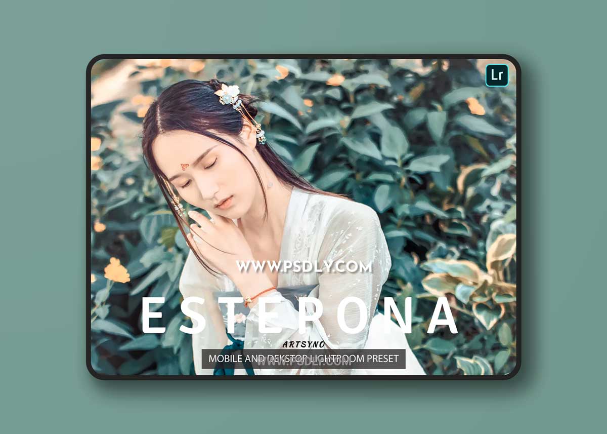 Estepona Lightroom Presets Dekstop and Mobile