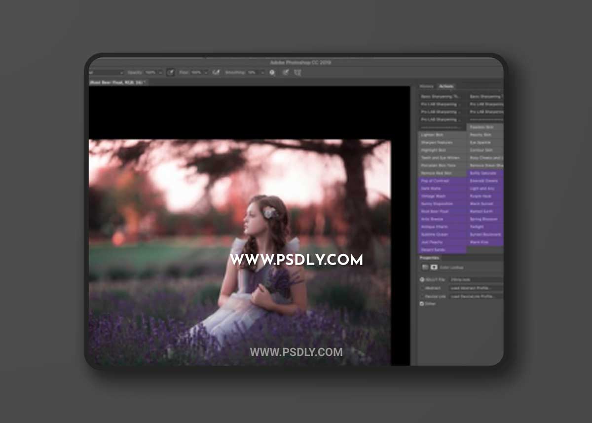 Finding North - Color Toning Action Set