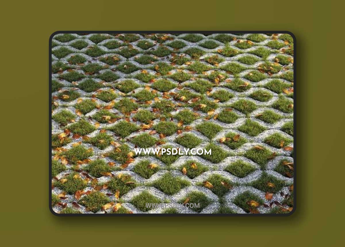 Grass in the square brick 3D Models