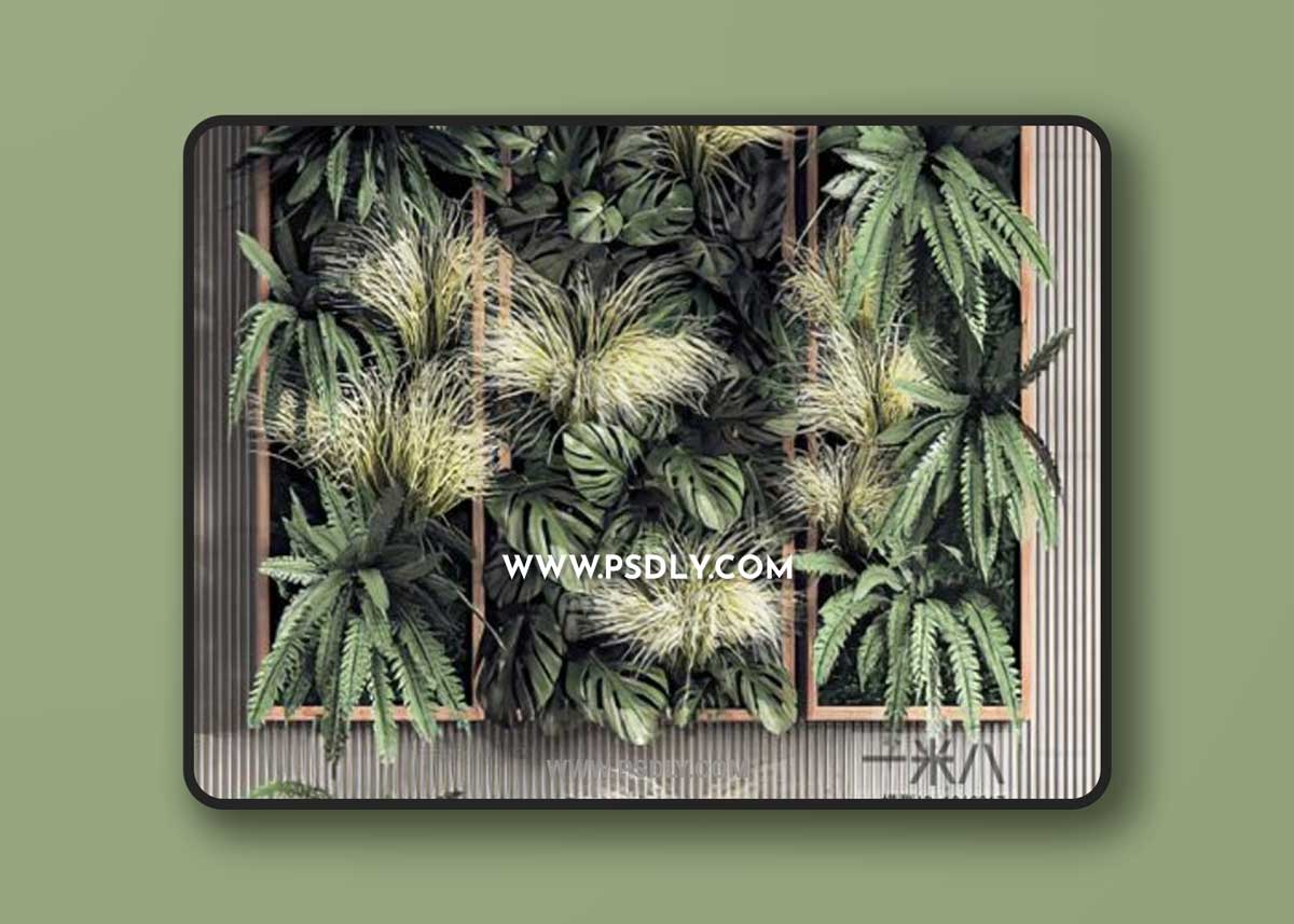 Modern plant wall 3D Models