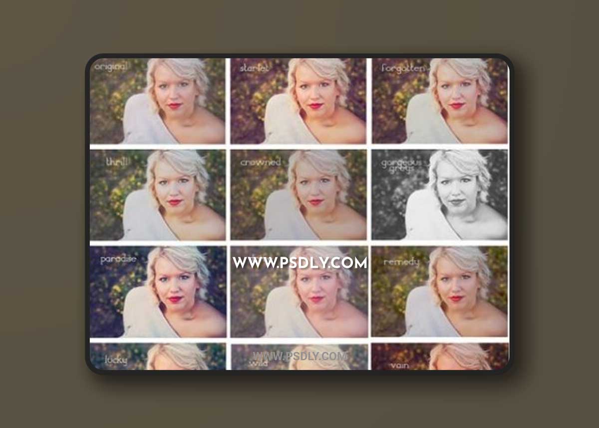 Morgan Burks - Hollywood Dreams Collection