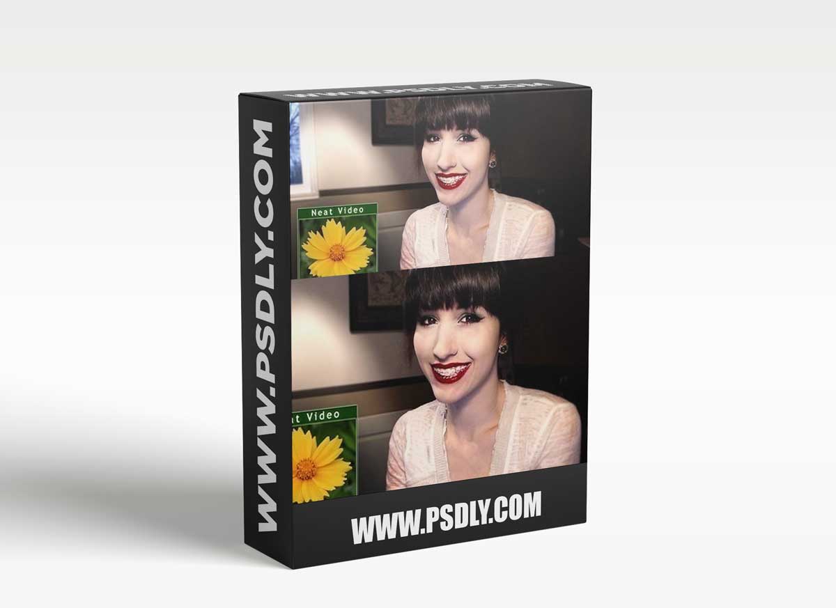 Neat Video Pro v5.3 SR for Adobe Premiere Pro WIN