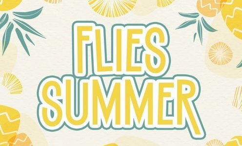 FLIES SUMMER Font